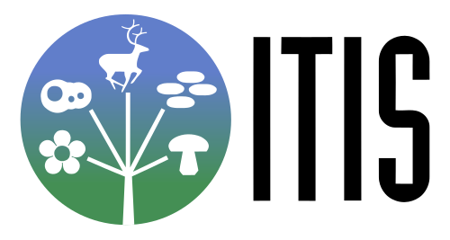 Integrated Taxonomic Information System